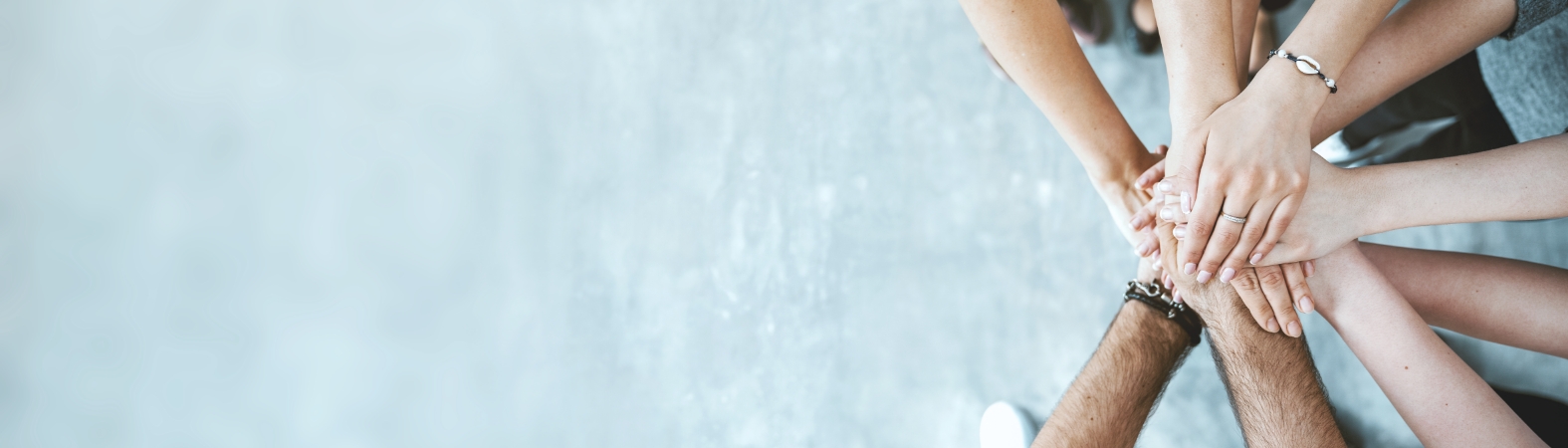 社員インタビュー